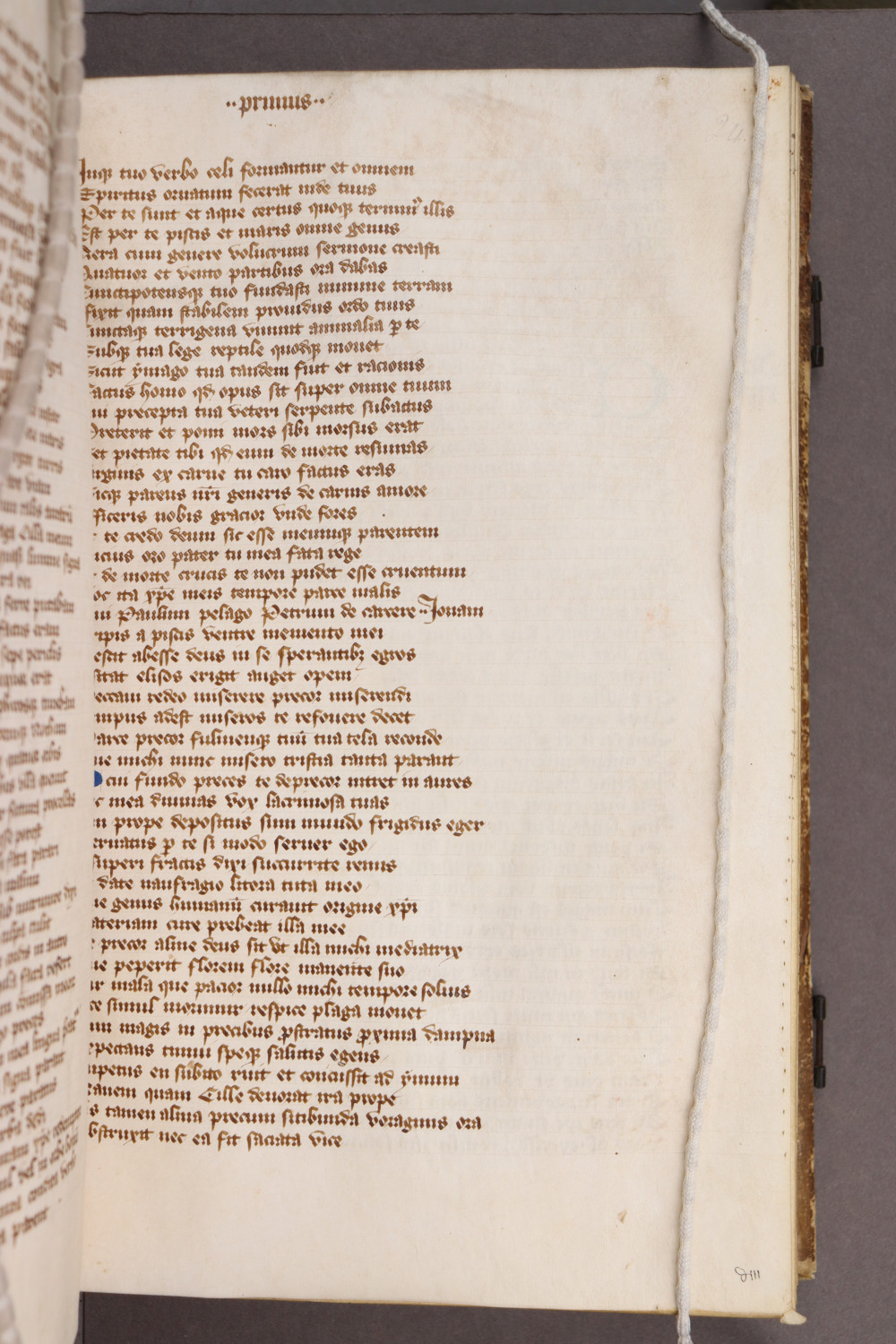 Folio 24 recto